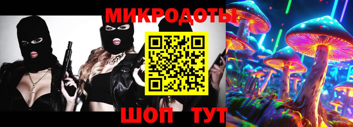 Псилоцибиновые грибы Psilocybine cubensis Старая Купавна
