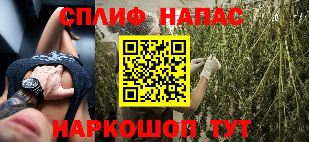 Канабис план Старая Купавна